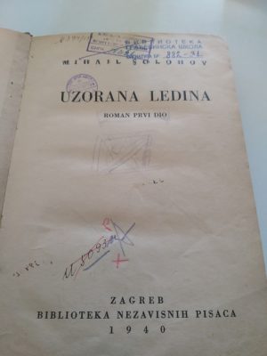 Uzorna ledina